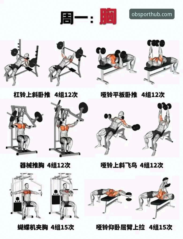 OB体育操作界面实用指南：新手也能快速上手的必备知识